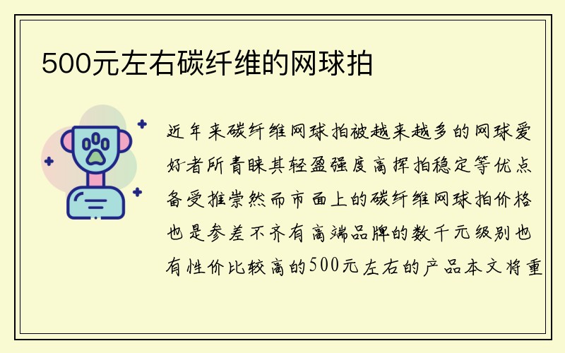 500元左右碳纤维的网球拍