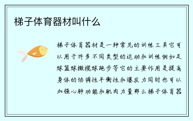 梯子体育器材叫什么