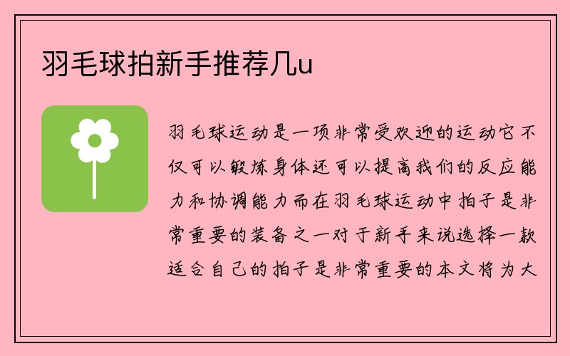 羽毛球拍新手推荐几u